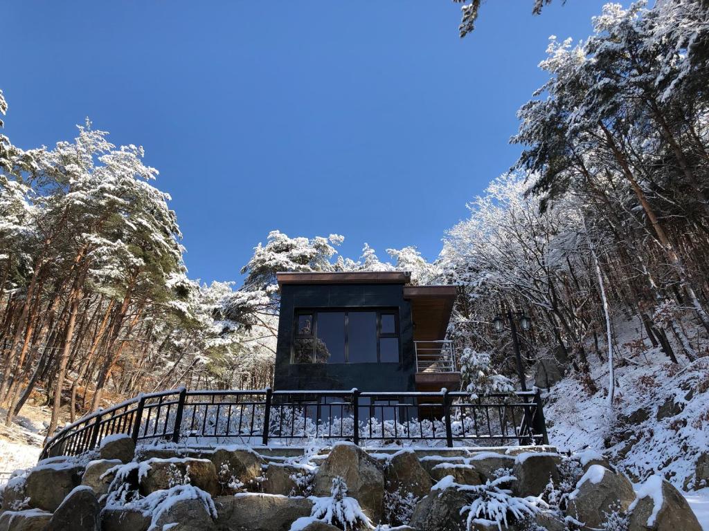 별들의 기침 펜션