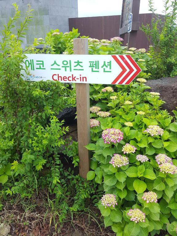 주 3성급 호텔 | 제주 에코 스위츠 숙박 후기 🏨 post thumbnail image