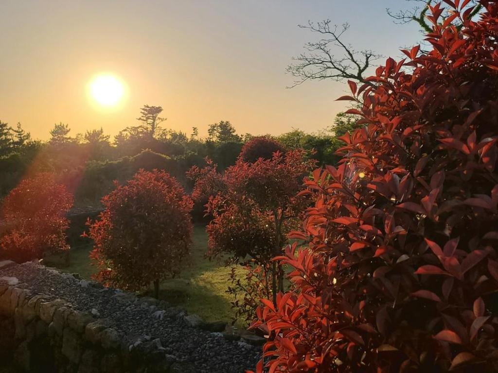 주 클랭블루 스테이 제주 호텔 리뷰 | 가격부터 시설까지 💝 post thumbnail image