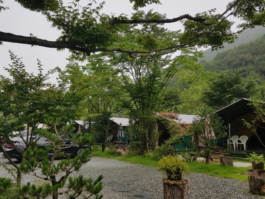 계룡산 글램핑 동월숲