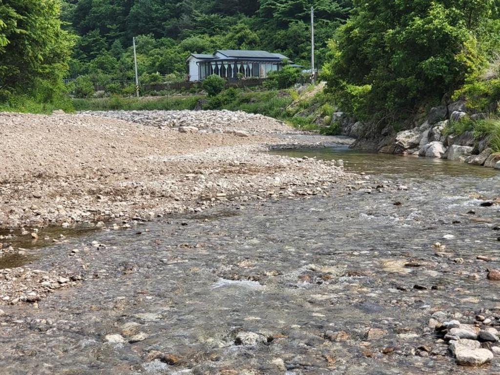 포레스트 67