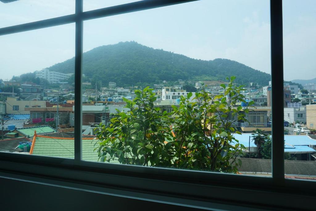 그림정원
