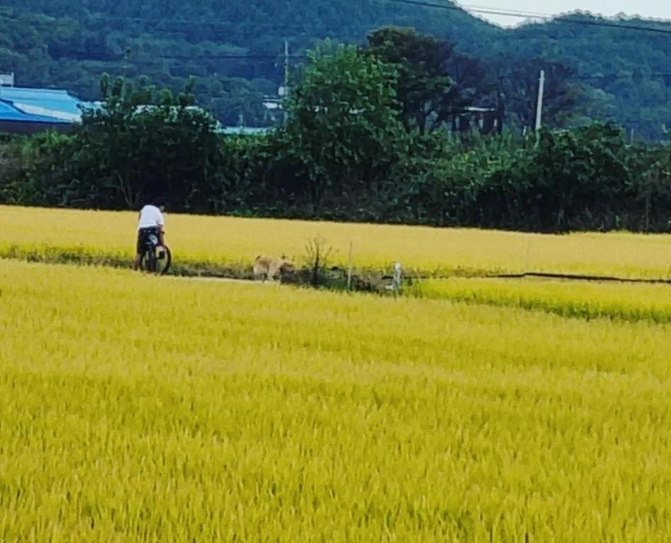 풍산읍의 프라이빗 하우스 (56m², 침실 2개, 프라이빗 욕실 1개)