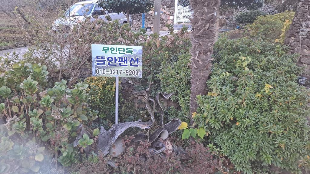 여수 금오도 뜰안펜션 호텔 상세 리뷰 | 3성급 추천숙소 💫 post thumbnail image