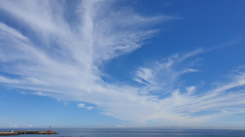 제주 올레로