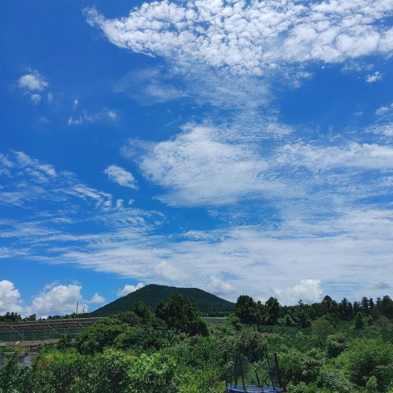 조천의 프라이빗 하우스 (300m², 침실 8개, 프라이빗 욕실 6개)