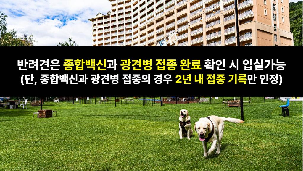 소노펫 클럽앤리조트 비발디파크