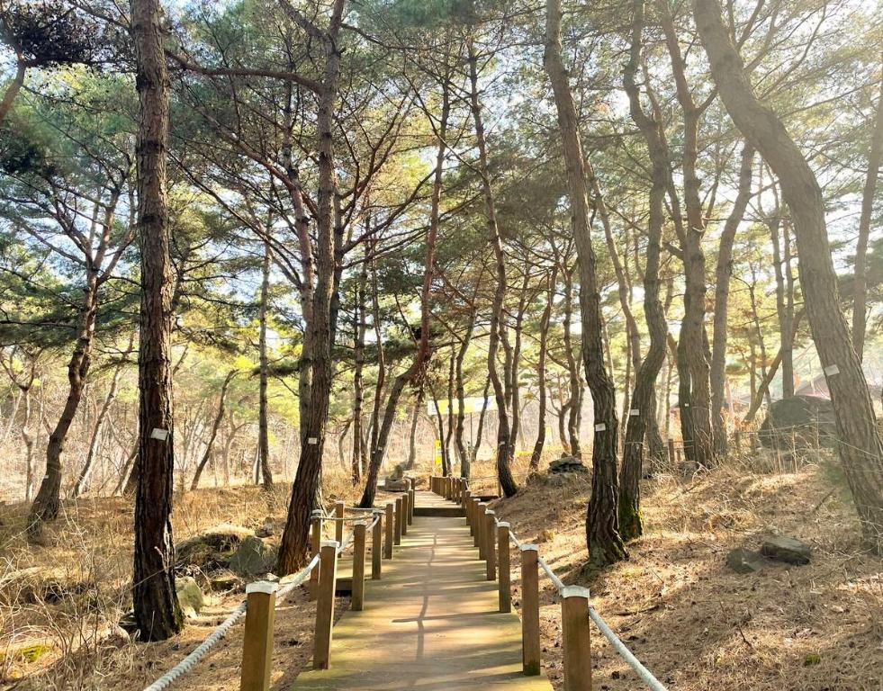 풍세면의 아파트먼트 (59m², 침실 3개, 프라이빗 욕실 2개)