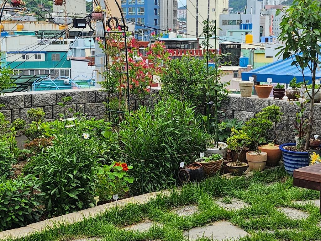 동문동의 프라이빗 하우스 (100m², 침실 2개, 프라이빗 욕실 2개)