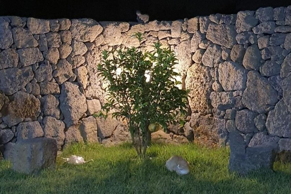 제주 도담