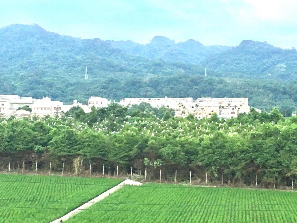 탄쯔 구의 빌라 (50m², 침실 4개, 프라이빗 욕실 2개)
