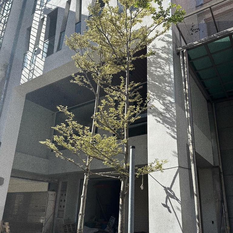 광파 호텔